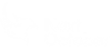 new-october